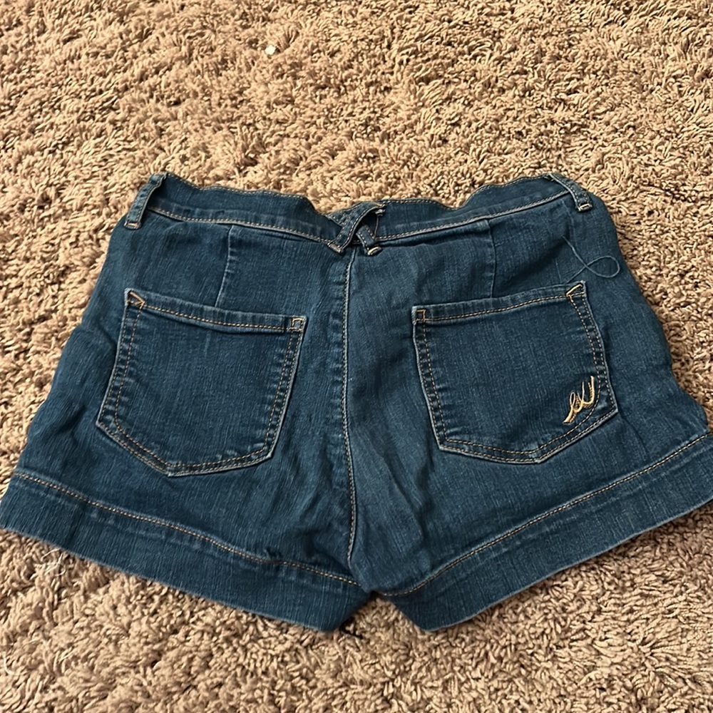 Express Shorts - Picture 2 of 3